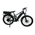 Allegro TDL6131 Long Range Ebike
