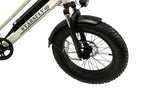 Starsfly PowerStep Electric Bike | 13Ah Battery