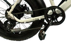Starsfly PowerStep Electric Bike | 13Ah Battery