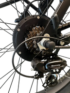 Allegro TDL6131 Long Range Ebike