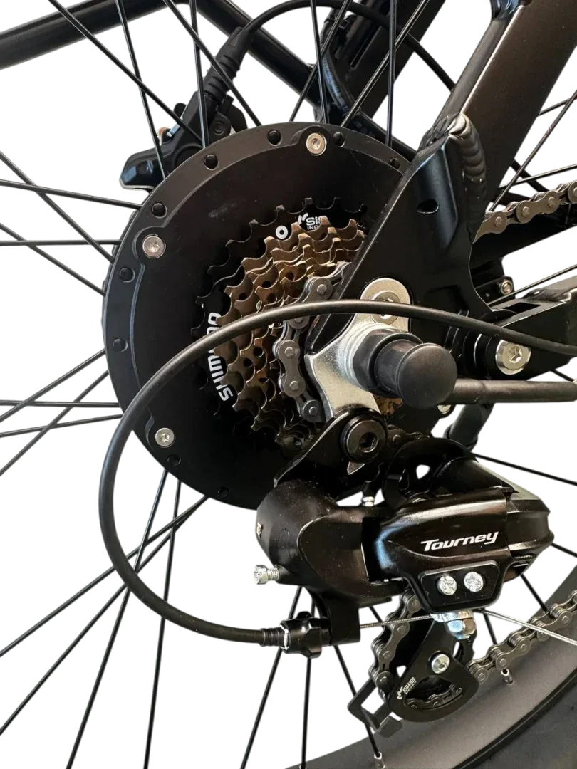 Allegro TDL6131 Long Range Ebike