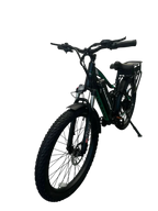 Allegro TDL6131 Long Range Ebike