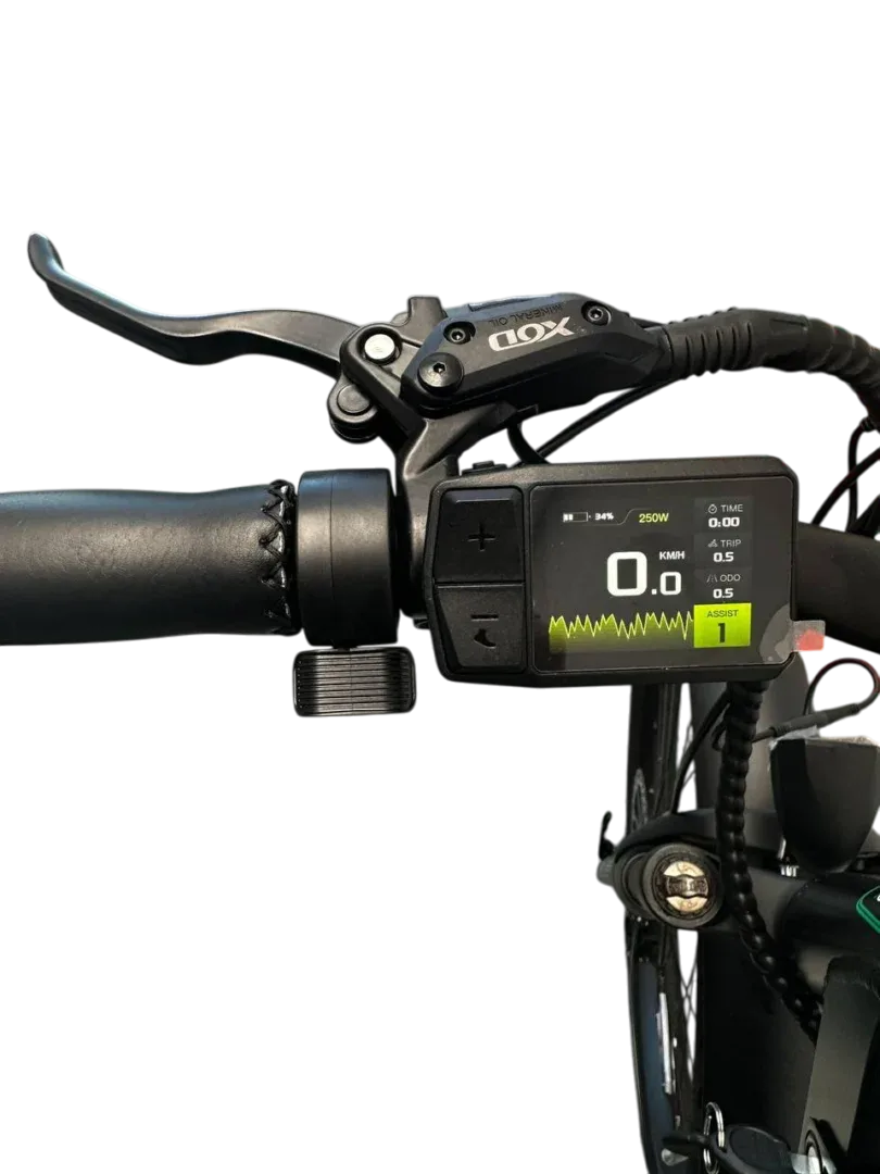 Allegro TDL6131 Long Range Ebike