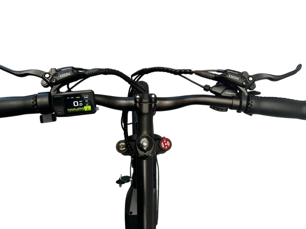 Allegro TDL6131 Long Range Ebike