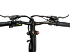 Allegro TDL6131 Long Range Ebike