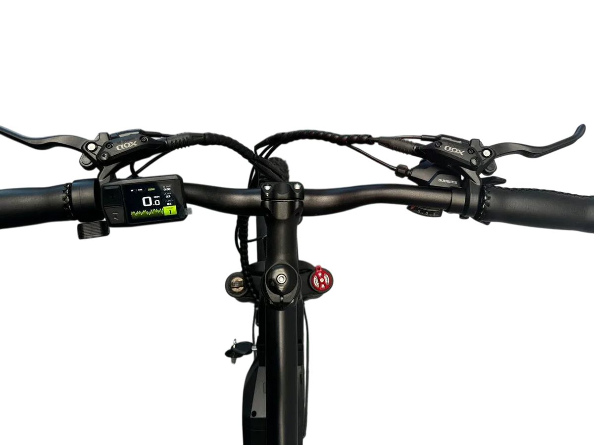 Allegro TDL6131 Long Range Ebike