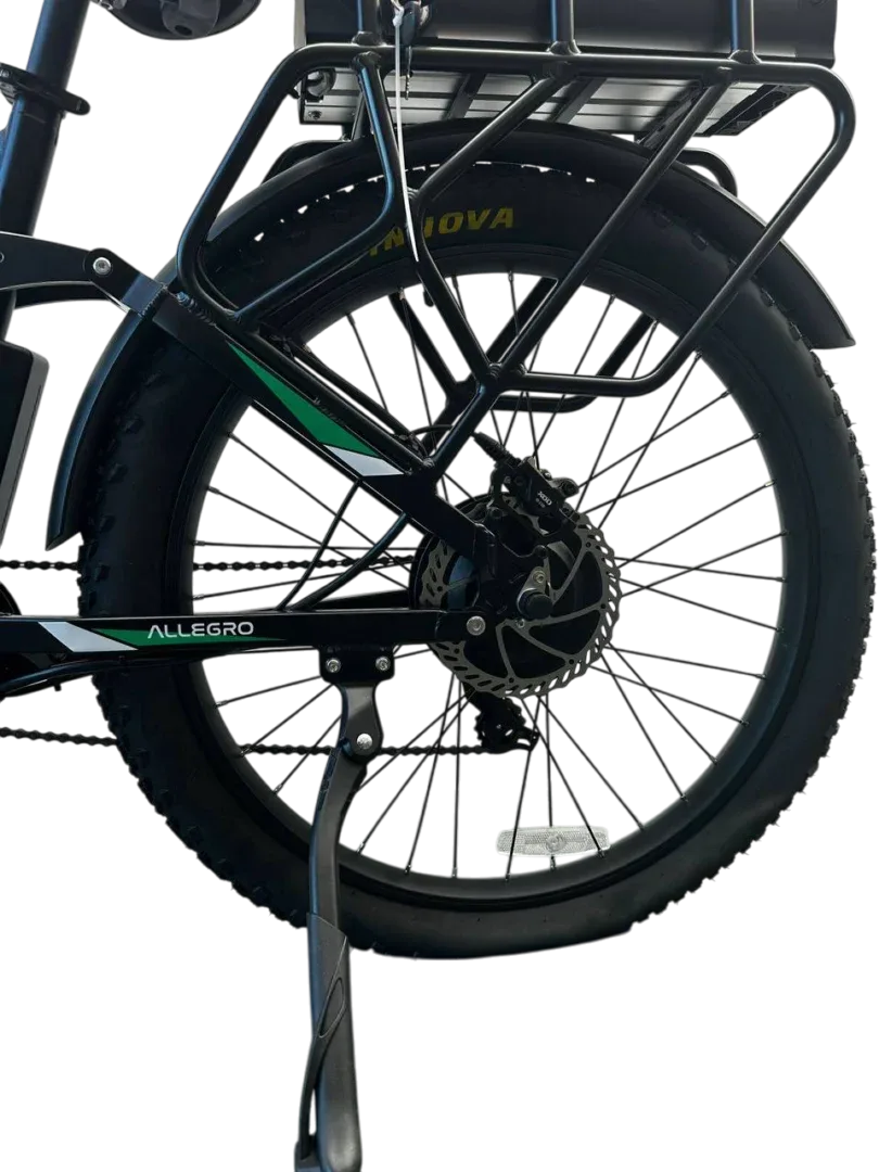 Allegro TDL6131 Long Range Ebike