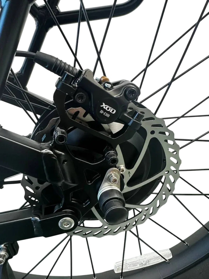 Allegro TDL6131 Long Range Ebike