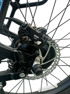 Allegro TDL6131 Long Range Ebike