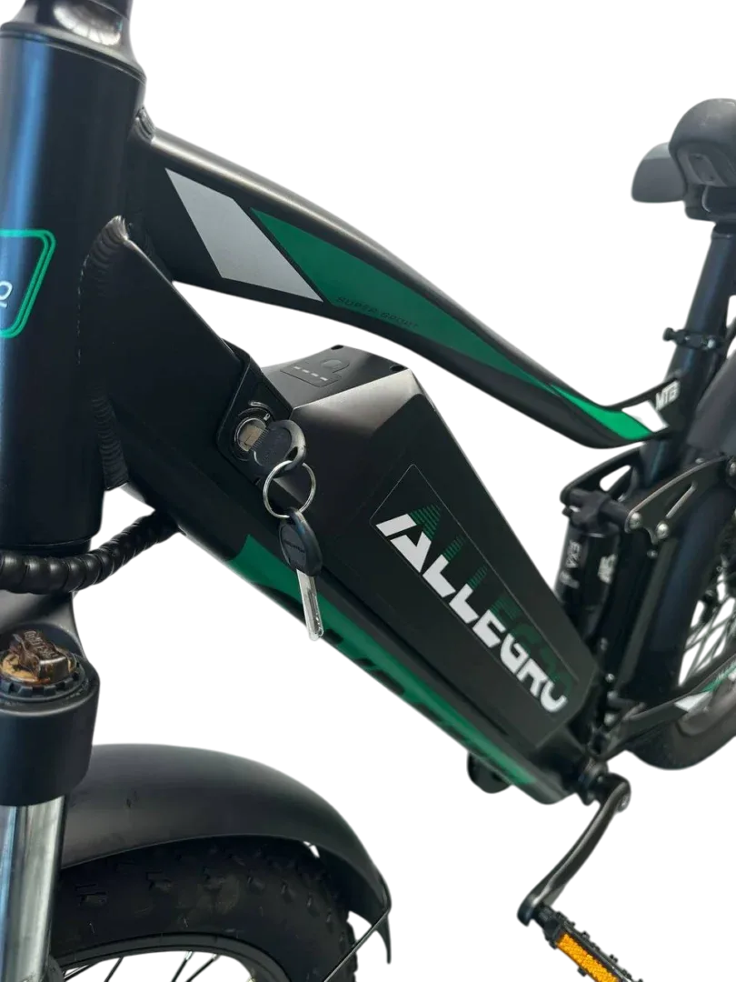 Allegro TDL6131 Long Range Ebike