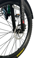 Allegro TDL6131 Long Range Ebike
