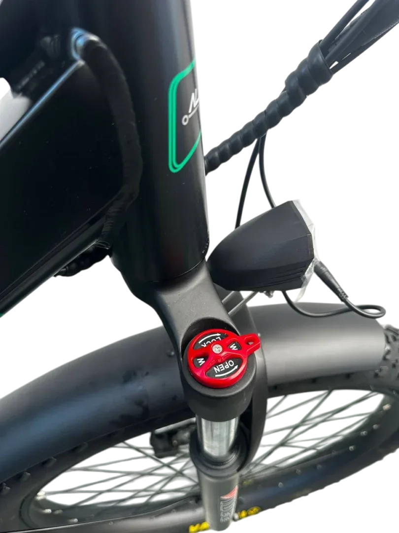 Allegro TDL6131 Long Range Ebike