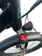 Allegro TDL6131 Long Range Ebike