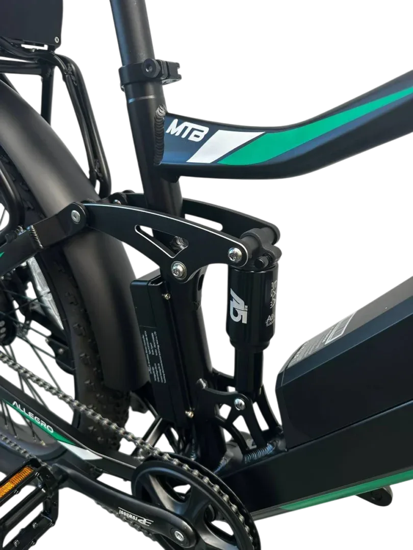 Allegro TDL6131 Long Range Ebike