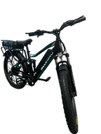 Allegro TDL6131 Long Range Ebike