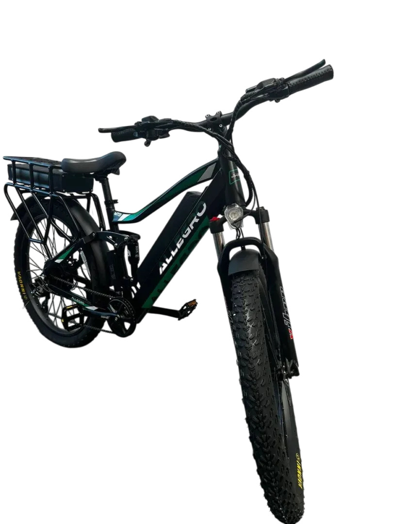 Allegro TDL6131 Long Range Ebike