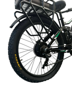 Allegro TDL6131 Long Range Ebike