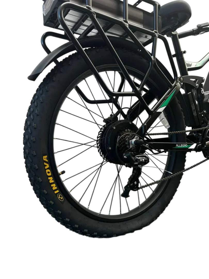 Allegro TDL6131 Long Range Ebike