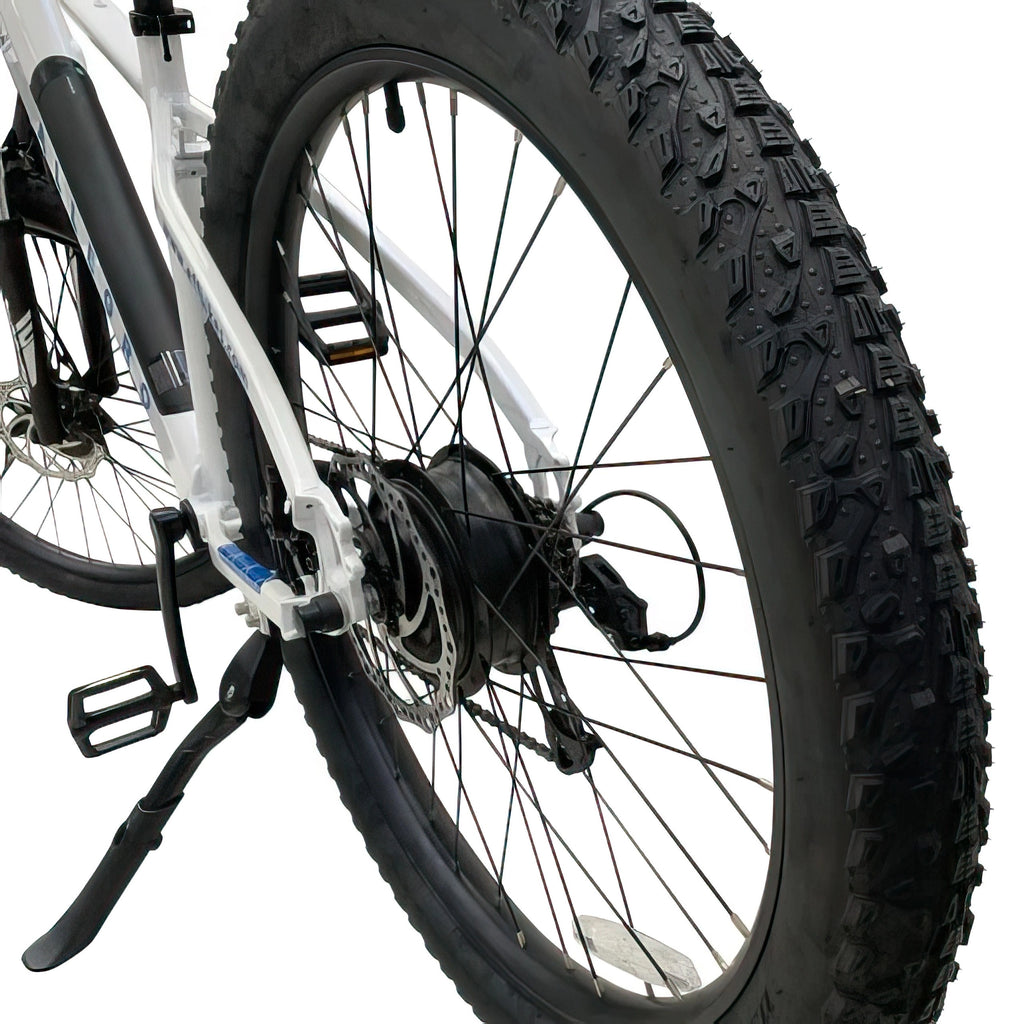 Allegro City Cruiser Electric Bike