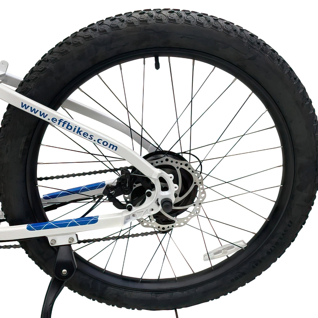 Allegro City Cruiser Electric Bike