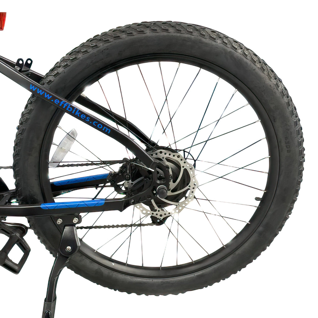 Allegro City Cruiser Electric Bike