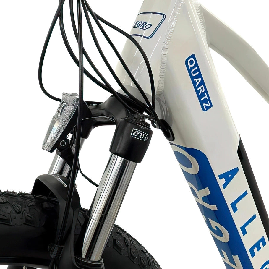 Allegro City Cruiser Electric Bike