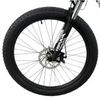 Allegro City Cruiser Electric Bike