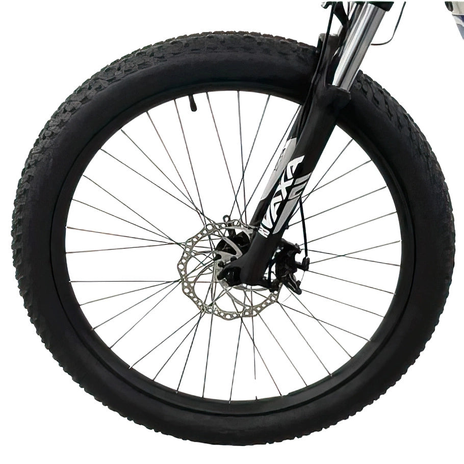 Allegro City Cruiser Electric Bike
