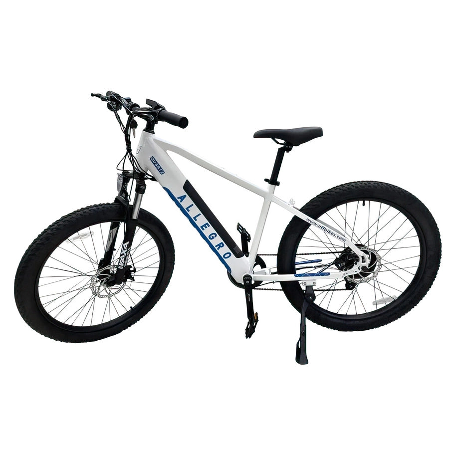 Allegro City Cruiser Electric Bike