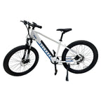 Allegro City Cruiser Electric Bike