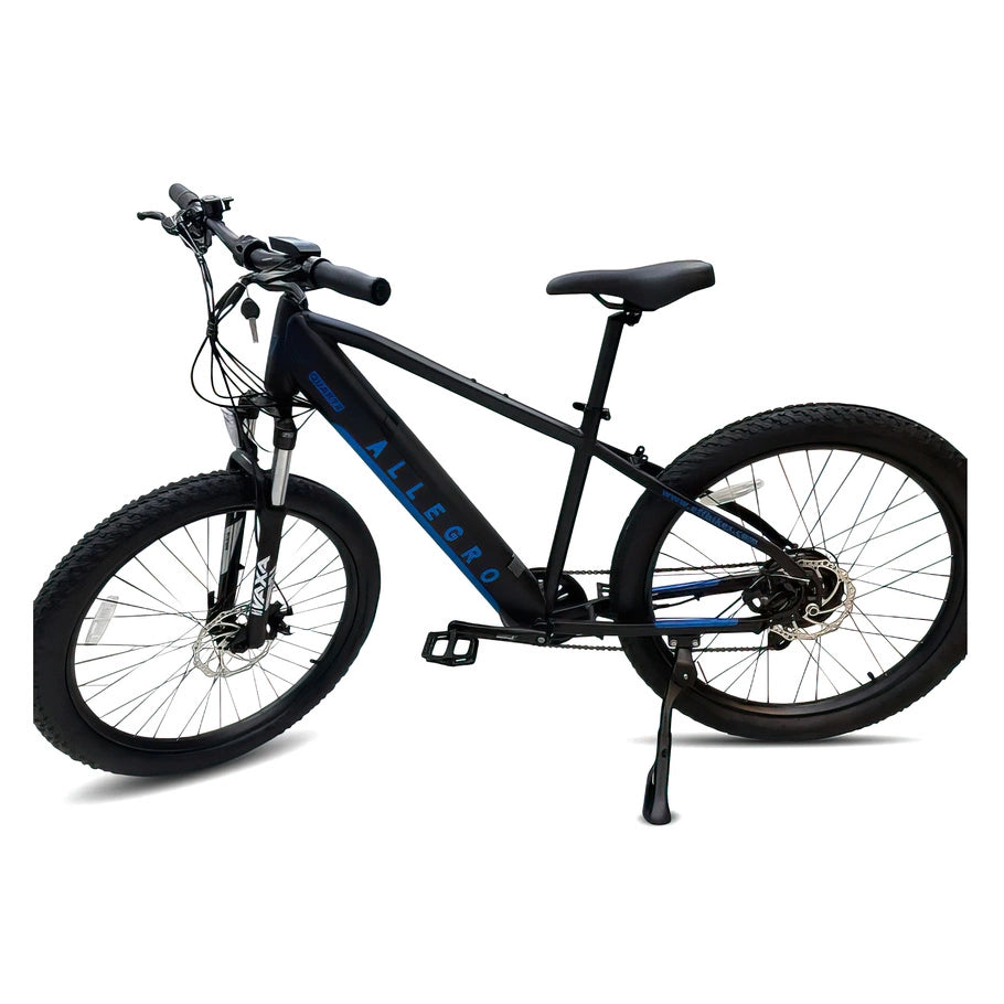 Allegro City Cruiser Electric Bike